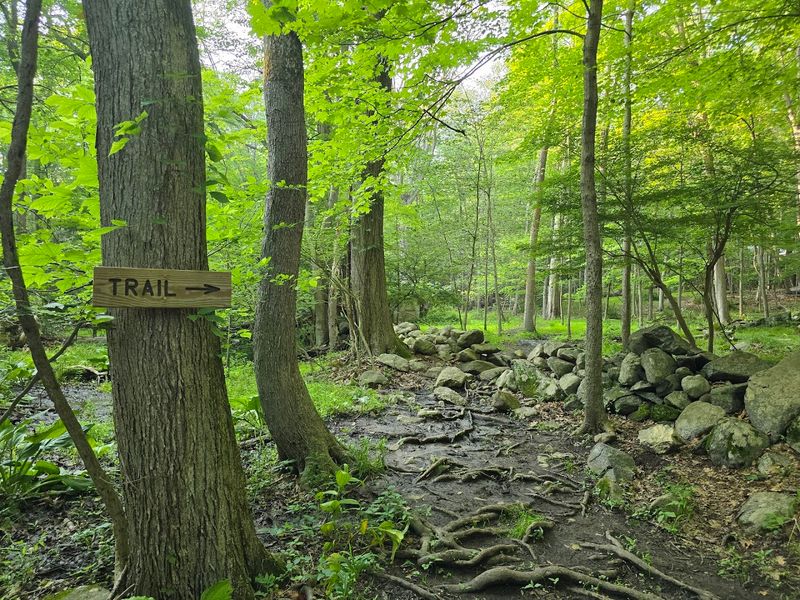 Mianus River Park, Stamford