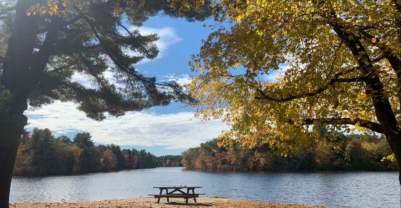 These 11 Lake Beaches In Connecticut Are Too Stunning To Miss