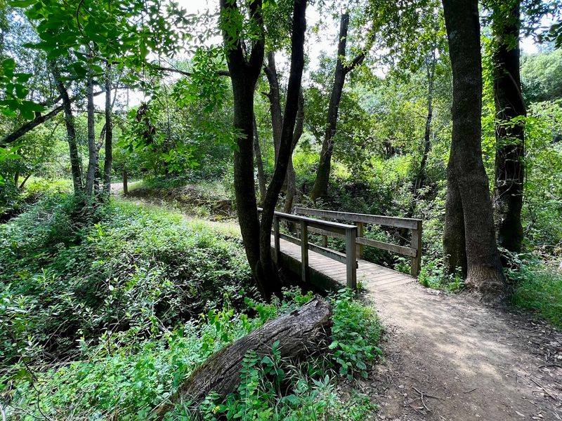These 13 Dog-Friendly Trails In Northern California Are Perfect For A Weekend Outing - Decor Hint Fremont Older Preserve, Saratoga