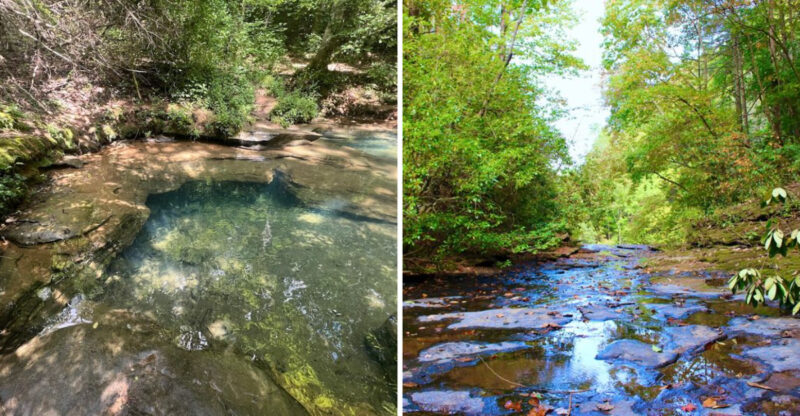 These 15 Georgia Natural Springs Offer Locations Worth Discovering And Exploring Personally