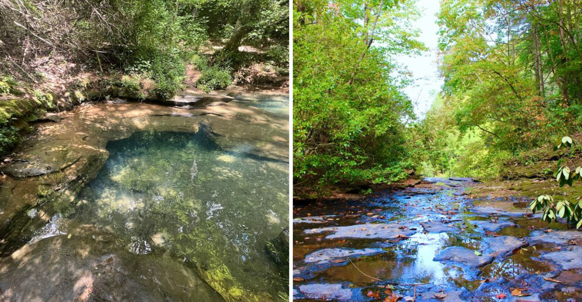 These 15 Georgia Natural Springs Offer Locations Worth Discovering And Exploring Personally - Decor Hint