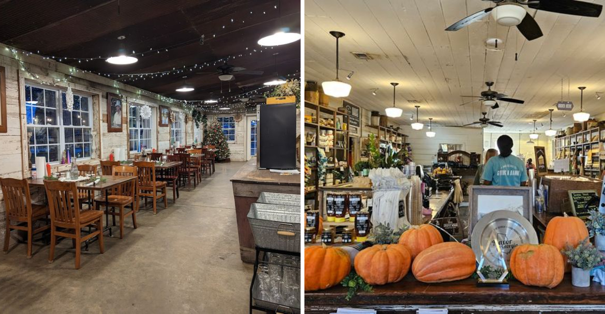 These 15 Reasons Make White Oak Pastures Farm General Store Georgia A Must Visit Destination - Decor Hint
