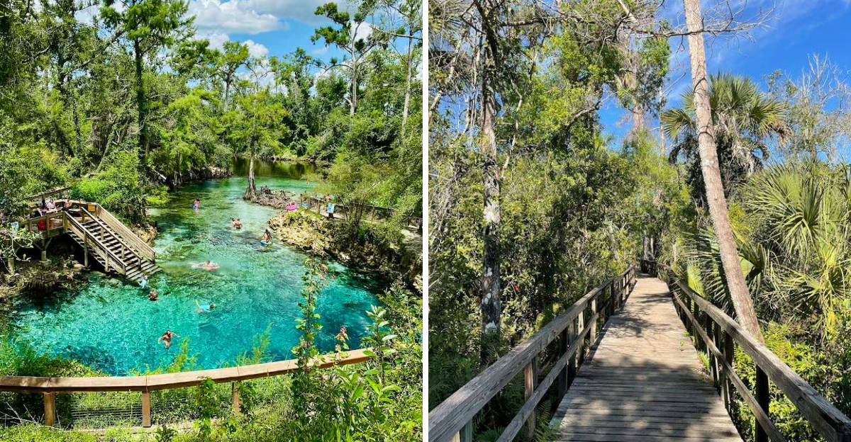 These 20 Florida State Parks Are Perfect For Avoiding The Crowds - Decor Hint