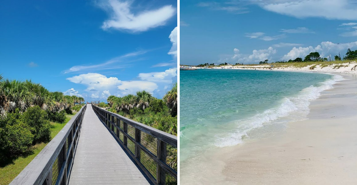 These 4 Florida Beaches Were Just Named Among Americas Best For 2026 - Decor Hint