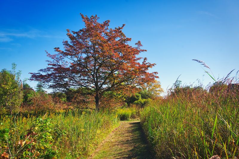 These 8 Connecticut Birdwatching Spots Feel Like Hidden Front-Row Seats To Nature - Decor Hint Greenwich Audubon Center, Greenwich