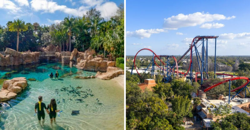 These 9 Florida Theme Parks Make Incredible Getaways For Adults