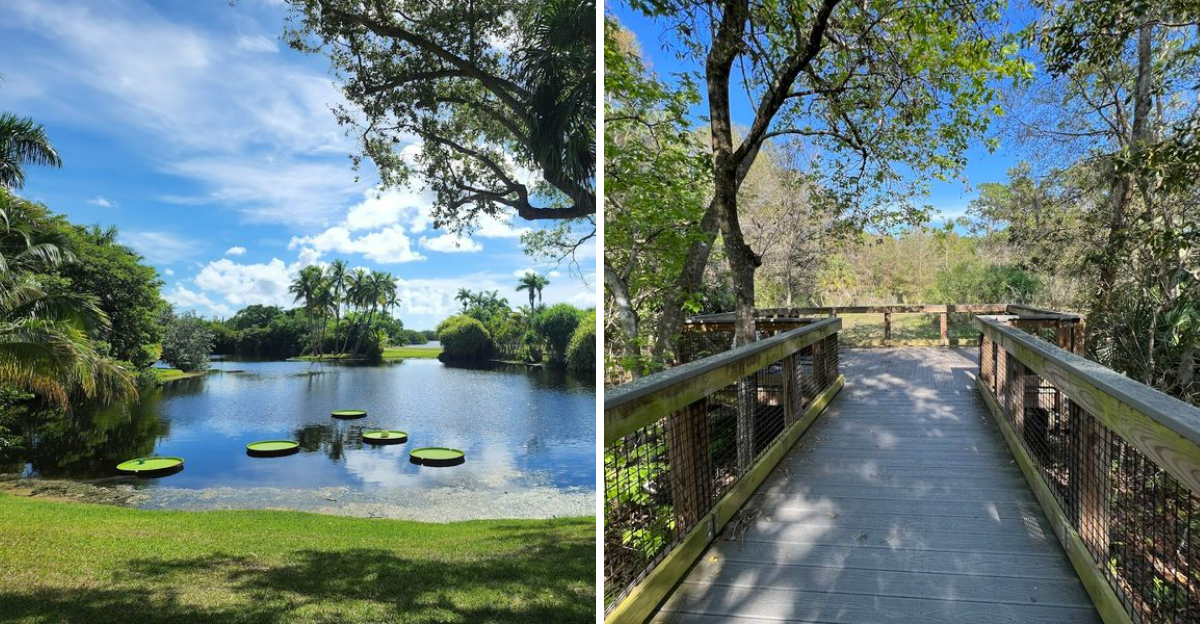 These Florida Botanical Gardens Are Packed With Color Beauty And Peaceful Trails - Decor Hint