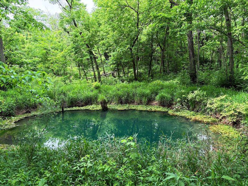 The Famous Blue Hole Spring That Glows Like A Jewel