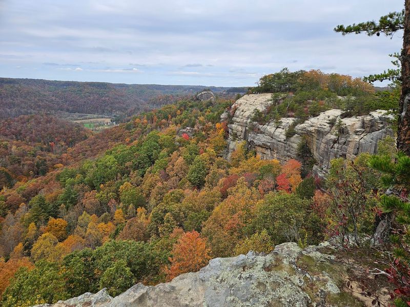 Auxier Ridge Trail
