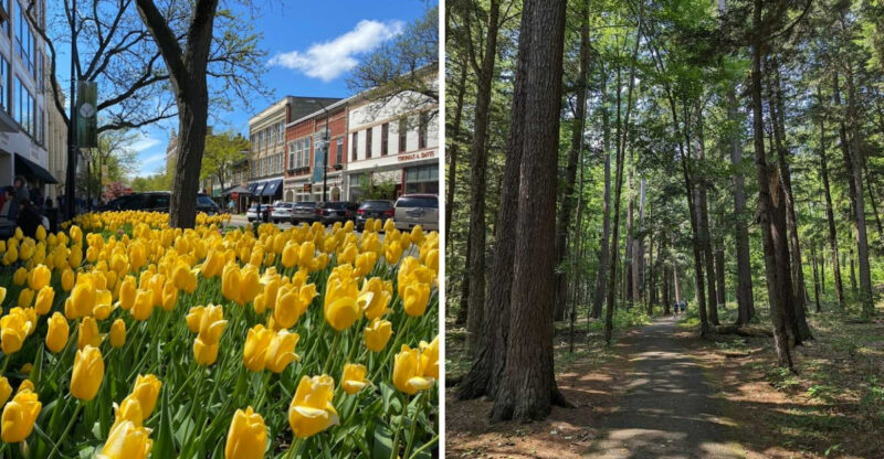 These Michigan Day Trips Are Perfect No Matter What Month You Visit