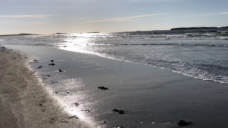 Seawall Beach