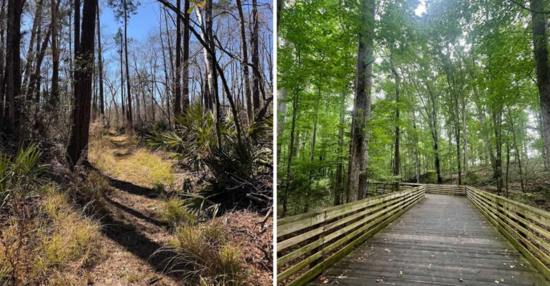 These Southern Georgia Bike Trails Will Make You Forget About Crowded Destinations