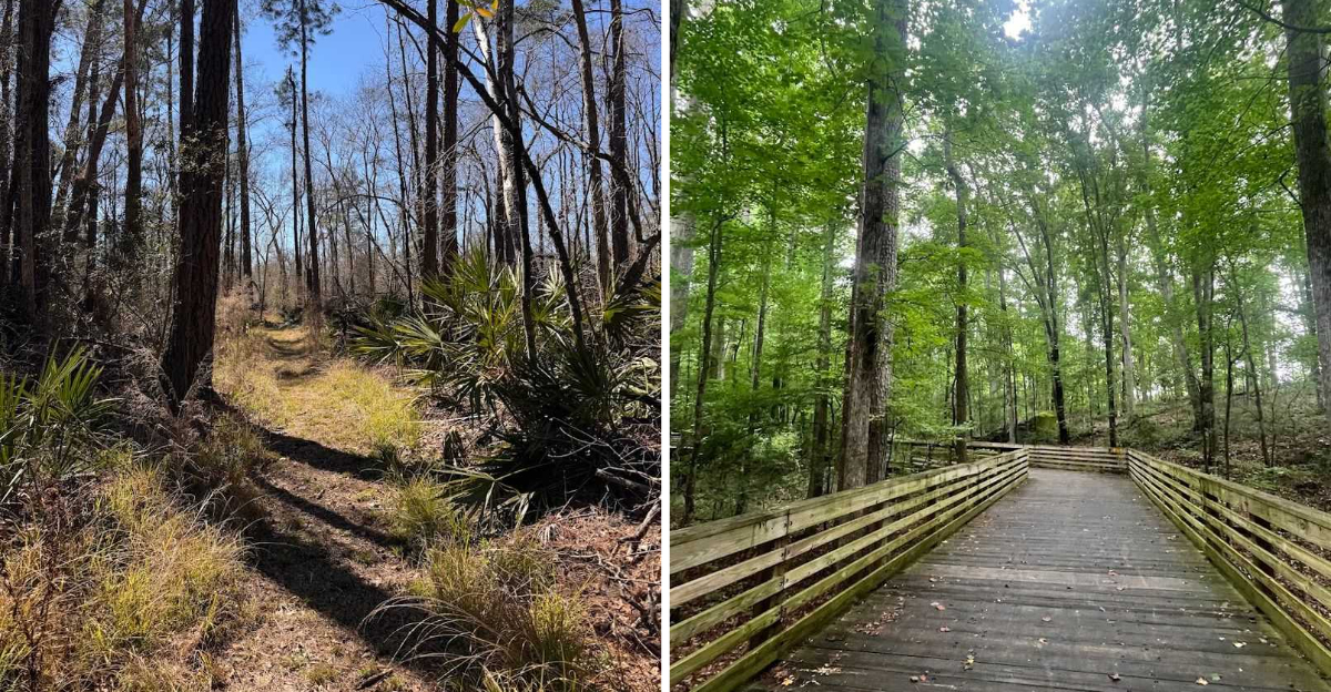 These Southern Georgia Bike Trails Will Make You Forget About Crowded Destinations - Decor Hint