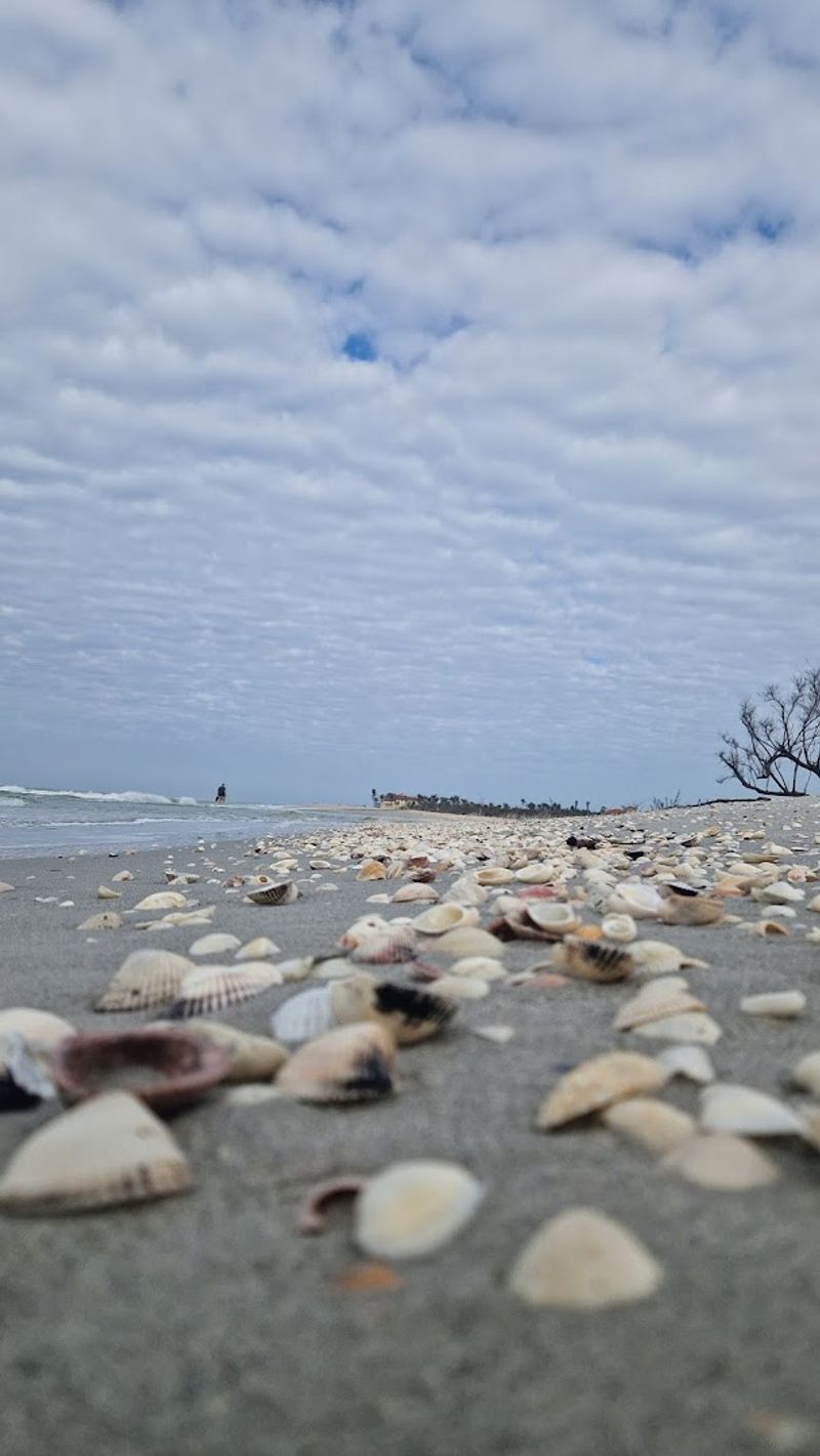 Bowman's Beach Park