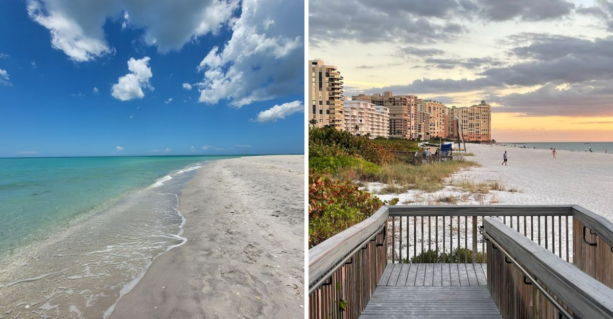 These Southwest Florida Beaches Are A Dream Come True For Seashell Hunters - Decor Hint