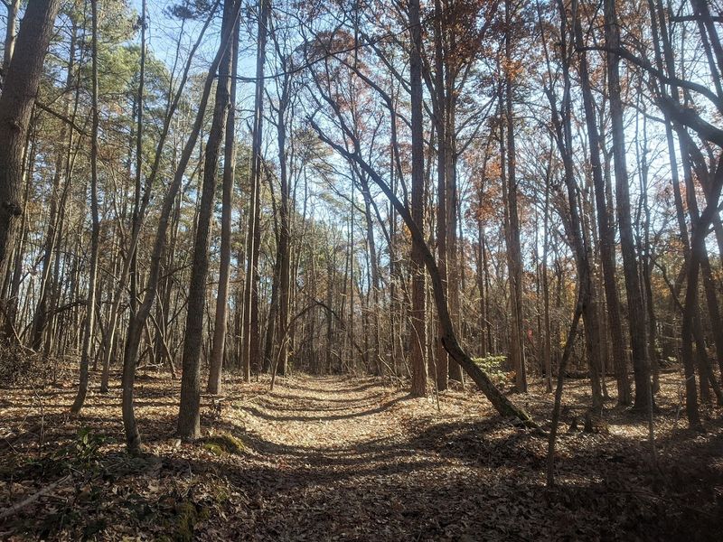 Birkhead Mountain Trail
