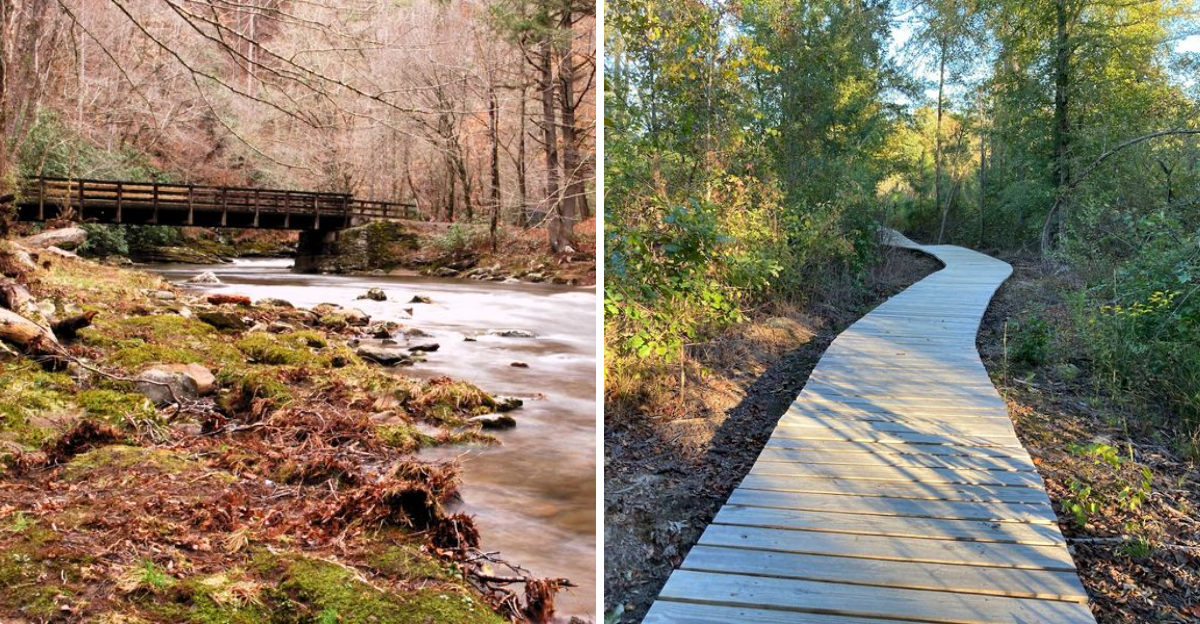 These Underrated North Carolina Hiking Trails Are Almost Too Beautiful To Stay Secret - Decor Hint