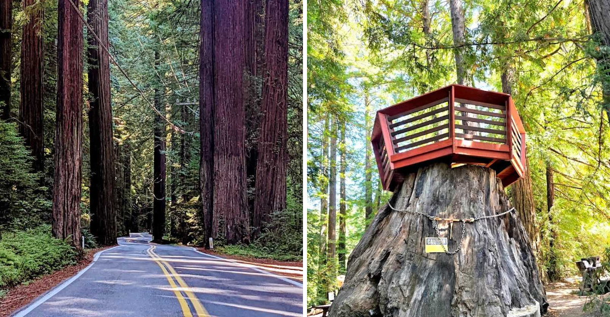 This 31 Mile Drive In California Is So Stunning Youll Think Youre In A Dream - Decor Hint