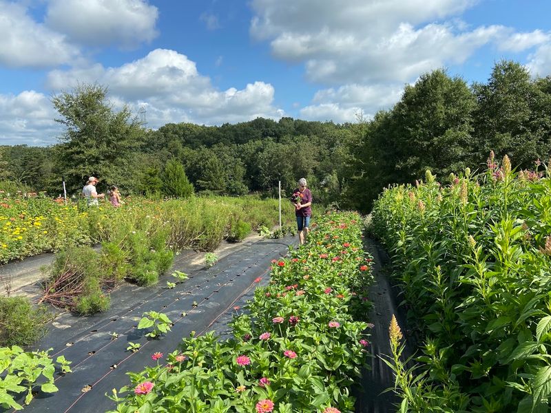 A Farm That Feels Like A Dream