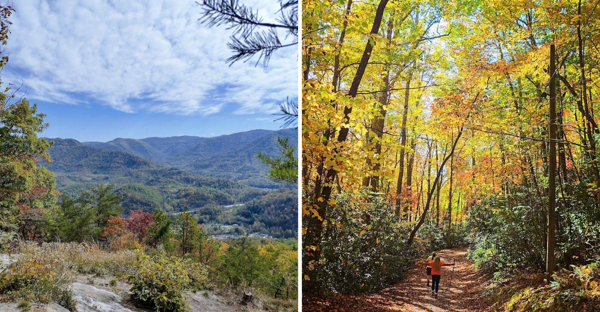 This Breathtaking State Park In Kentucky Is So Hidden Youll Have It All To Yourself - Decor Hint