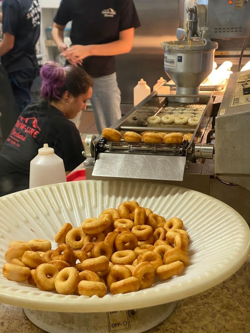 The Mini Apple Cider Donuts That Started It All