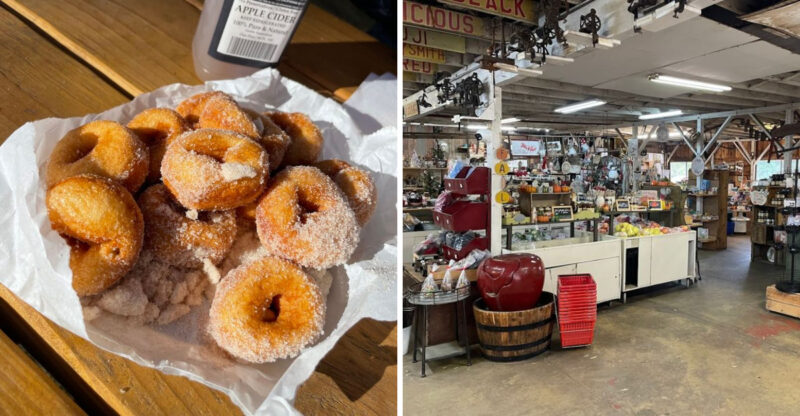 This California Orchard Is Famous For Apple Cider Donuts Worth Driving Across The State For