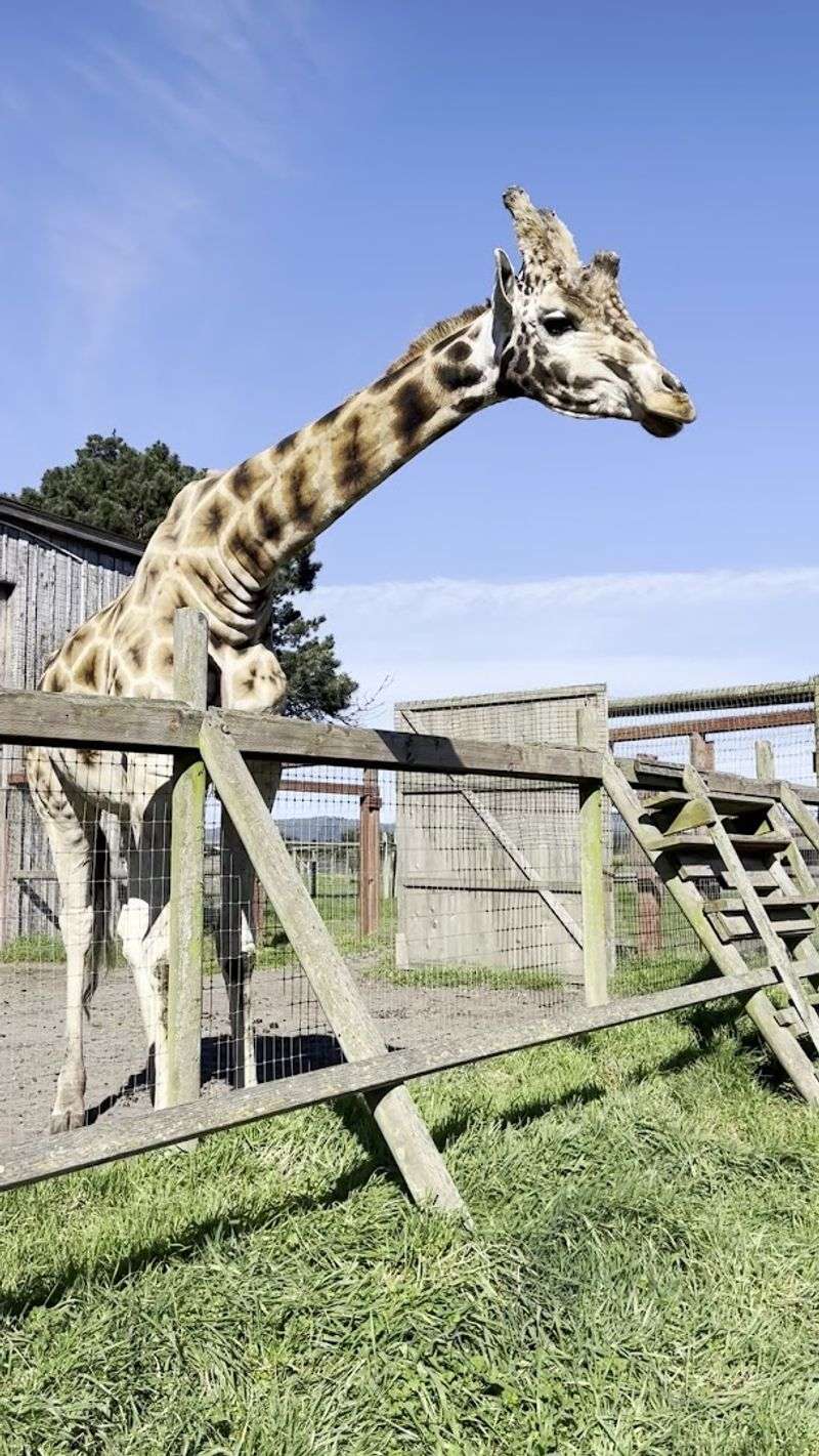 A Real Conservation Preserve, Not Just A Zoo