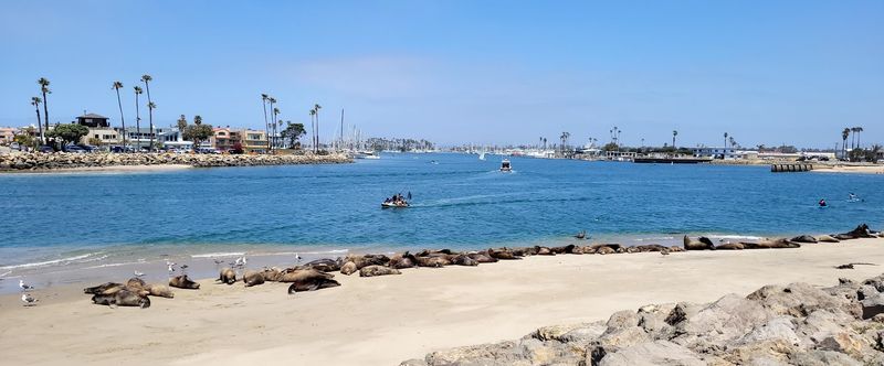 Channel Islands Harbor
