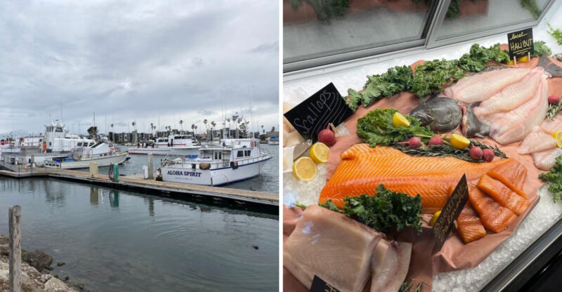 This Charming Southern California Harbor Town Is A Paradise For Seafood Lovers