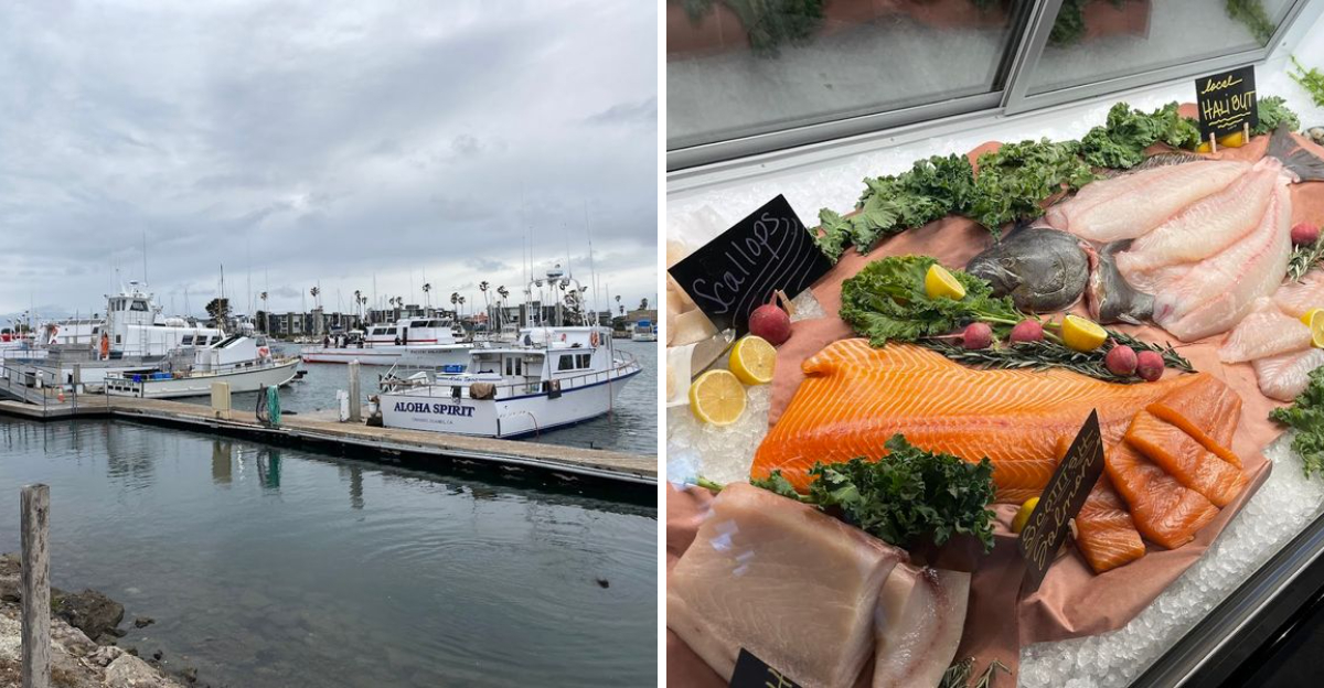 This Charming Southern California Harbor Town Is A Paradise For Seafood Lovers - Decor Hint