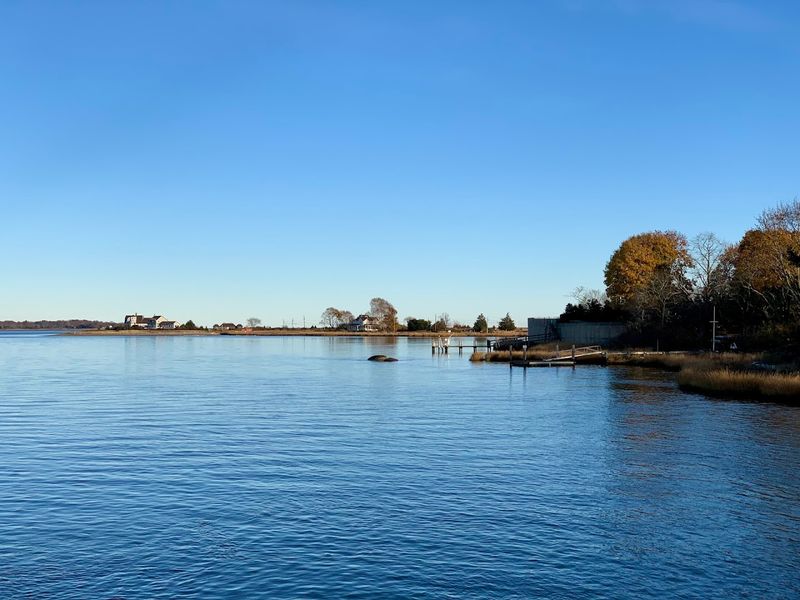 A Picturesque Stroll Along The Coastal Waterfront