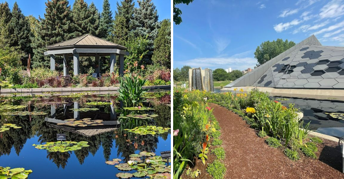 This Colorado Botanical Garden Feels Like A Peaceful Escape From Everyday Life - Decor Hint