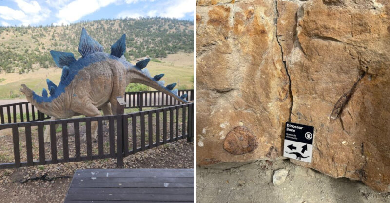 This Colorado Destination Lets Visitors Explore A Real Dinosaur Discovery Site