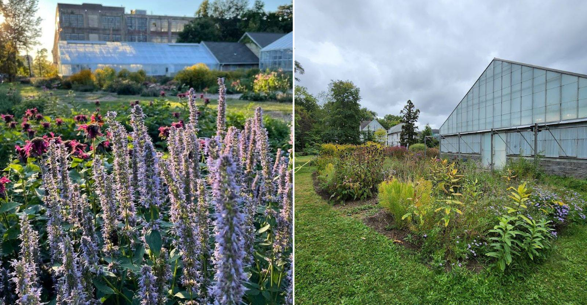 This Connecticut Botanical Garden Comes Alive With Color During Spring - Decor Hint