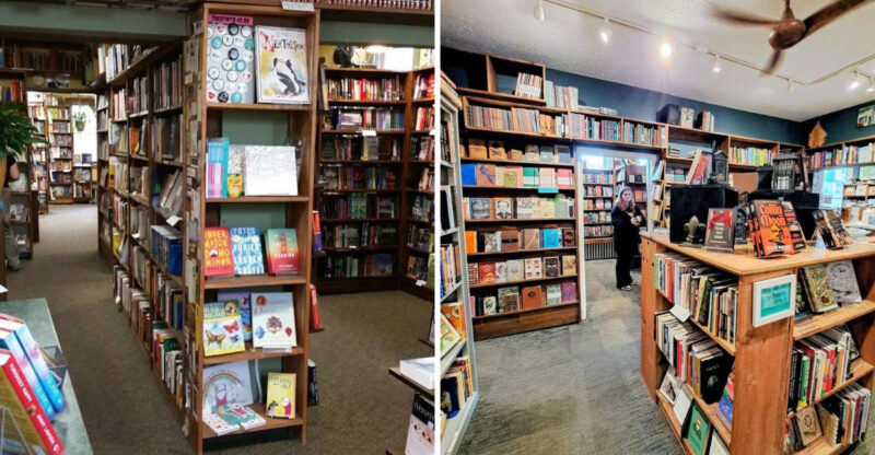 This Cozy Literary Landmark In Michigan Offers A Curated Selection Of Titles Perfect For A Cozy Afternoon