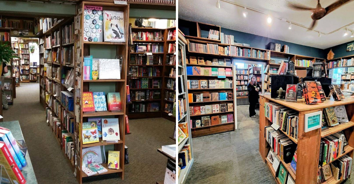 This Cozy Literary Landmark In Michigan Offers A Curated Selection Of Titles Perfect For A Cozy Afternoon - Decor Hint