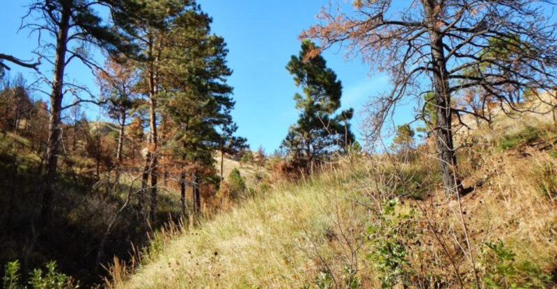 This Easy 3-Mile Hike In Nebraska Is So Scenic, You’ll Be Talking About It For Days