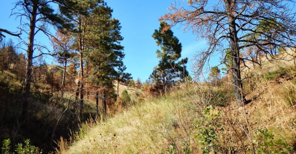 This Easy 3 Mile Hike In Nebraska Is So Scenic Youll Be Talking About It For Days - Decor Hint