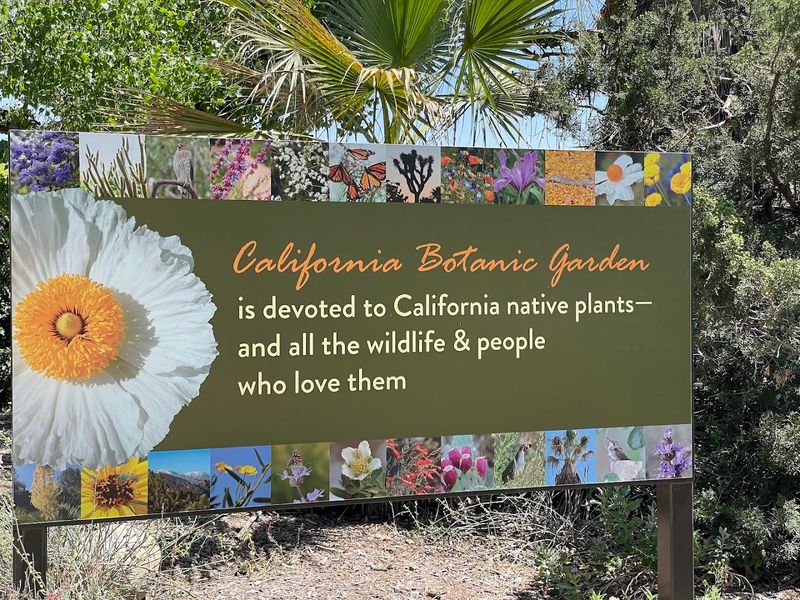 A Living Museum Dedicated Entirely To California Native Plants