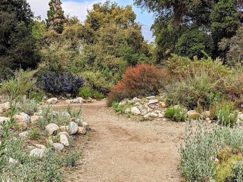 Planning Your Visit To California Botanic Garden In Claremont