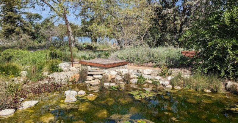 This Enchanting Botanical Garden In California Is One Of The Most Overlooked Gems In The State