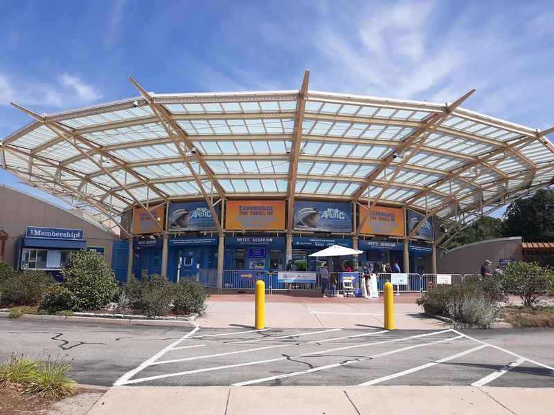Where To Find This Aquarium And Its Marine Wonders