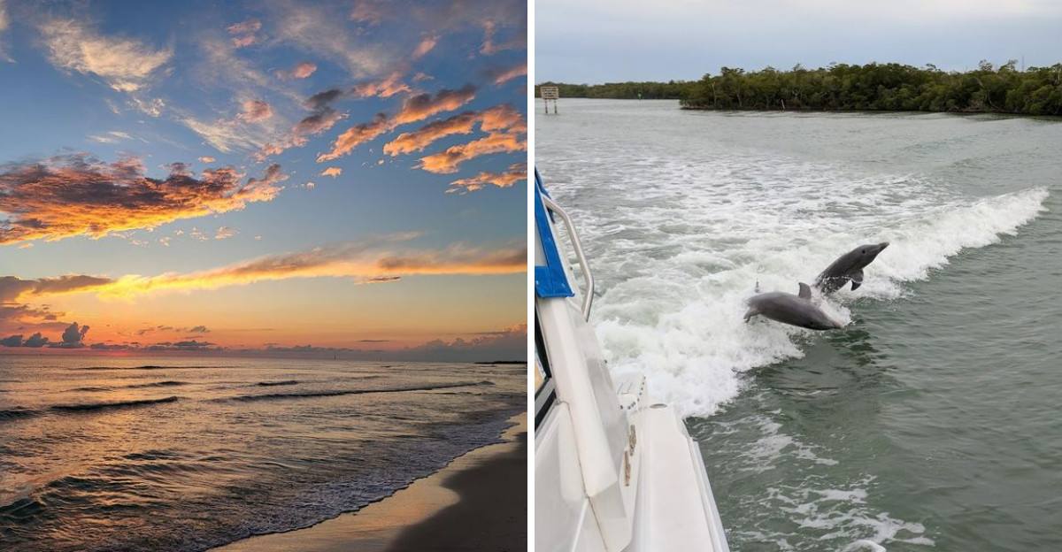 This Florida Barrier Island Is Filled With Wild Dolphins Remote Beaches And Peaceful Nature Trails - Decor Hint