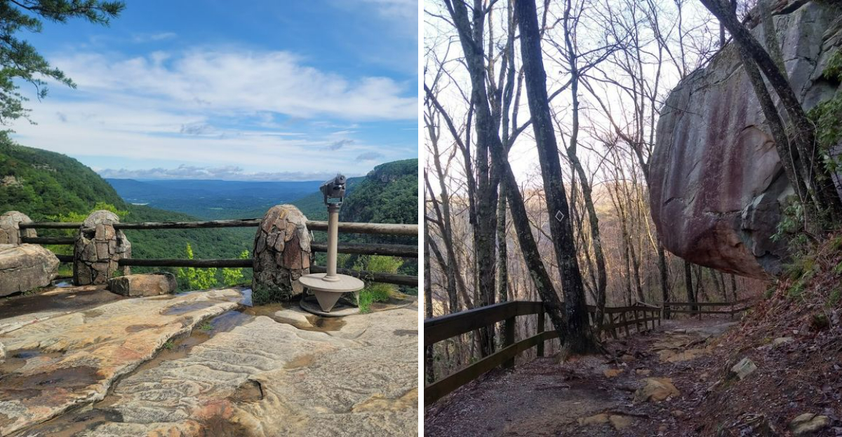This Georgia Campground Offers Mornings That Feel Like You Are Above The Clouds - Decor Hint