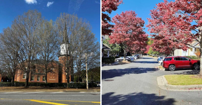 This Georgia City Was Named The Best Place To Retire In The Golden State