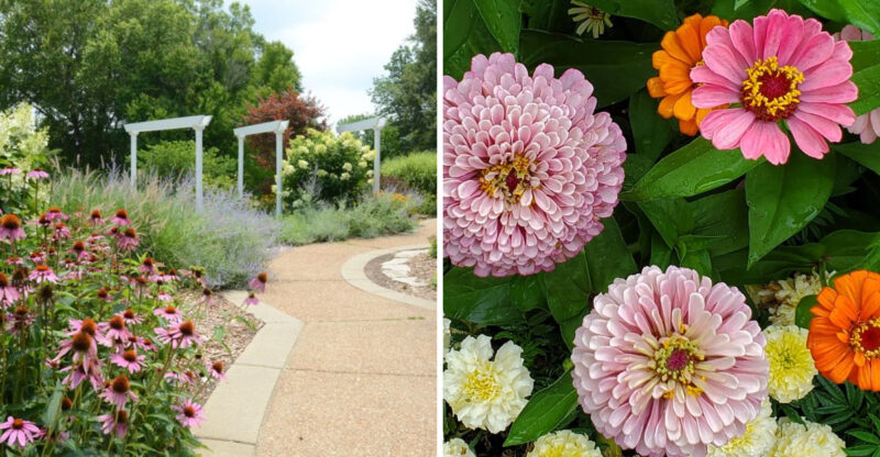 This Gorgeous 20-Acre Botanical Garden In Illinois Feels Like A Hidden Paradise