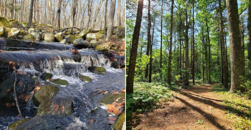 This Gorgeous State Park In Connecticut Is So Hidden You’ll Have It All To Yourself
