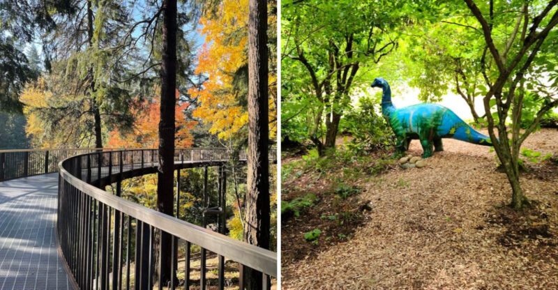 This Hidden Oregon Botanical Garden Looks Like Something From A Dream
