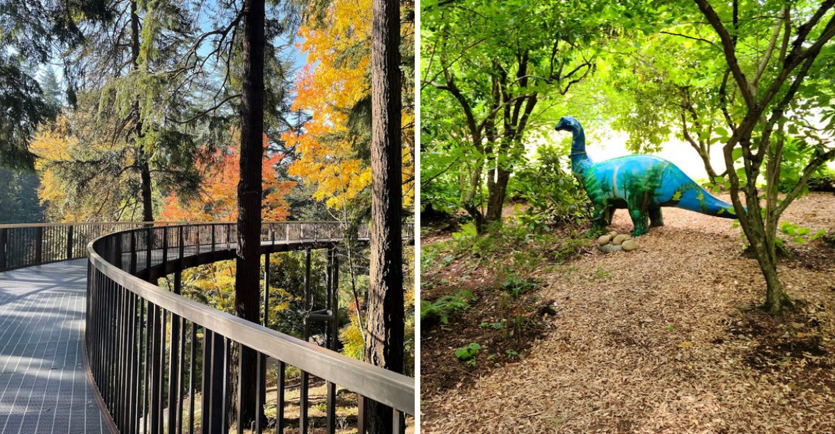This Hidden Oregon Botanical Garden Looks Like Something From A Dream - Decor Hint