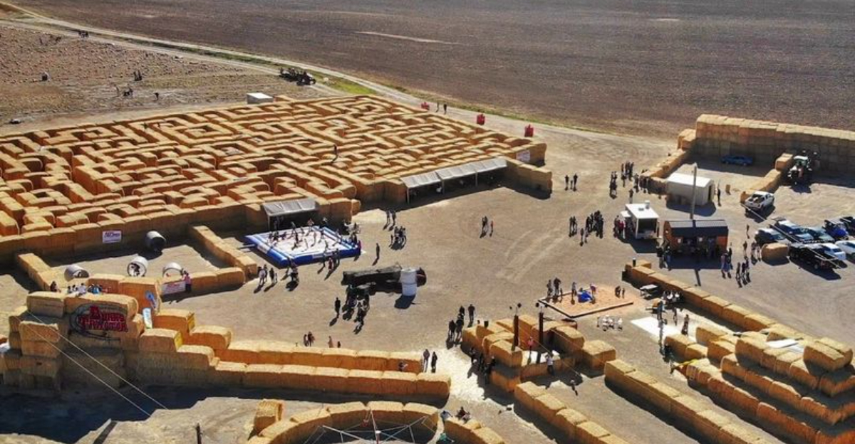 This Idaho Straw Maze Turns A Farm Day Into A Full On Family Adventure - Decor Hint